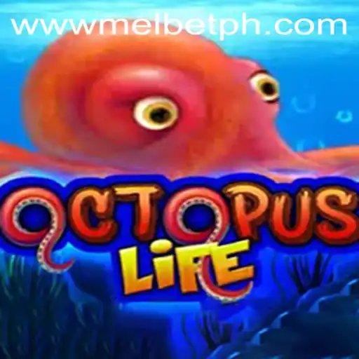 Exploring OctopusLife